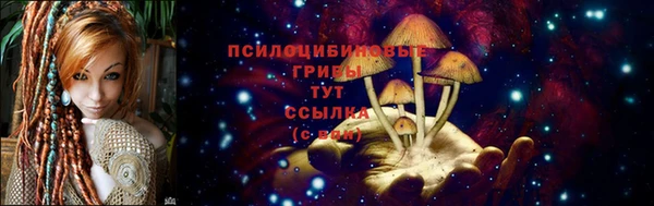 стаф Алексин