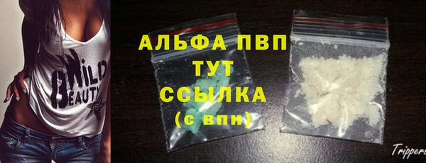 стаф Алексин