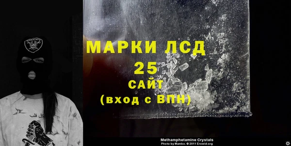 стаф Алексин