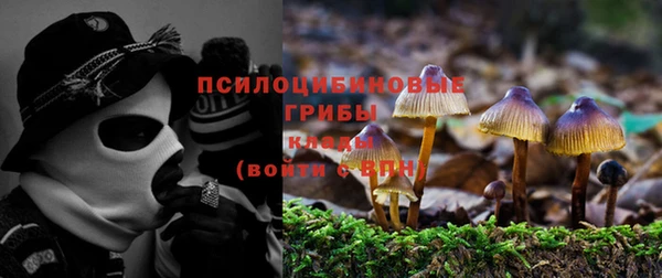 мескалин Алексеевка